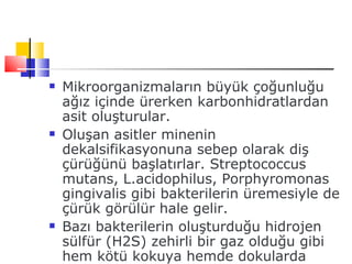    Mikroorganizmaların büyük çoğunluğu
    ağız içinde ürerken karbonhidratlardan
    asit oluşturular.
   Oluşan asitler minenin
    dekalsifikasyonuna sebep olarak diş
    çürüğünü başlatırlar. Streptococcus
    mutans, L.acidophilus, Porphyromonas
    gingivalis gibi bakterilerin üremesiyle de
    çürük görülür hale gelir.
   Bazı bakterilerin oluşturduğu hidrojen
    sülfür (H2S) zehirli bir gaz olduğu gibi
    hem kötü kokuya hemde dokularda
 