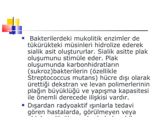     Bakterilerdeki mukolitik enzimler de
    tükürükteki müsinleri hidrolize ederek
    sialik asit oluştururlar. Sialik asitte plak
    oluşumunu stimüle eder. Plak
    oluşumunda karbonhidratların
    (sukroz)bakterilerin (özellikle
    Streptococcus mutans) hücre dışı olarak
    ürettiği dekstran ve levan polimerlerinin
    plağın büyüklüğü ve yapışma kapasitesi
    ile önemli derecede ilişkisi vardır.
   Dışardan radyoaktif ışınlarla tedavi
    gören hastalarda, görülmeyen veya
 