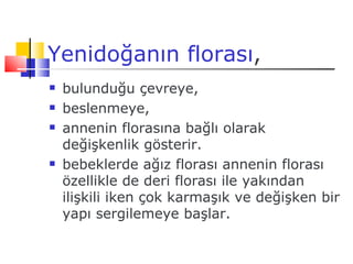 Yenidoğanın florası,
   bulunduğu çevreye,
   beslenmeye,
   annenin florasına bağlı olarak
    değişkenlik gösterir.
   bebeklerde ağız florası annenin florası
    özellikle de deri florası ile yakından
    ilişkili iken çok karmaşık ve değişken bir
    yapı sergilemeye başlar.
 