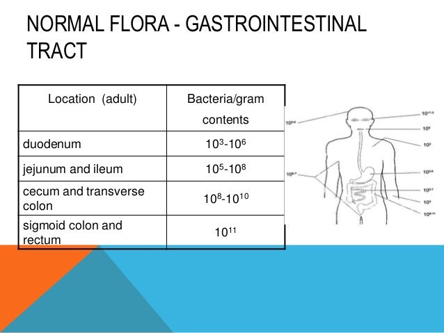normal flora of skin skin flora