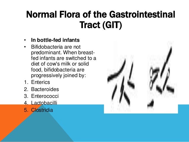 normal flora of skin skin flora