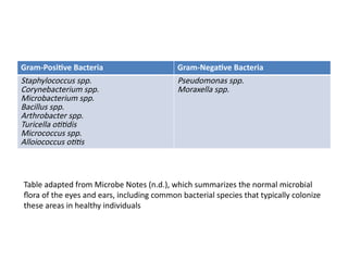 Alloiococcus Normal Flora of ENT (Ear, Nose and Throat).pptx