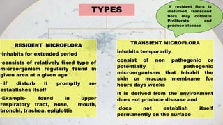 TYPES
RESIDENT MICROFLORA
•inhabits for extended period
•consists of relatively fixed type of
microorganism regularly found in
given area at a given age
• if disturb it promptly re-
establishes itself
•Example- found in upper
respiratory tract, nose, mouth,
bronchi, trachea, epiglottis
TRANSIENT MICROFLORA
inhabits temporarily
consist of non pathogenic or
potentially pathogenic
microorganisms that inhabit the
skin or mucous membrane for
hours days weeks
it is derived from the environment
does not produce disease and
does not establish itself
permanently on the surface
if resident flora is
disturbed transcend
flora may colonize
Proliferate and
produce disease
 