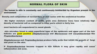 NORMAL FLORA OF SKIN
• the human is skin is constantly and continuously bombarded by Organism present in the
environment
Density and composition of normal flora of skin varies with the anatomical location
• the higher moisture content of axilla, groin area (between toes) have relatively high
density of bacterial cell as compared to other parts which is fairly low.
• most bacteria are sequestered in sweat glands
• skin microbes found in most superficial layer of the epidermis and upper part of the hair
follicles are gram positive (Staphylococcus and Micrococcus and Corynebacterium like
Propionibacterium
• Staphylococcus and Propionibacterium produce fatty acids that inhibit the growth of fungi
and yeast on the skin.
• If Propionibacterium become trapped in hair follicle it may grow rapidly and cause
inflammation and acne.
 