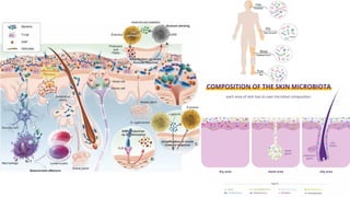 Normal Flora Function Comprehensive Overview of Human Normal Flora and Microbiome Functions ...