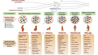 Normal Flora Function Comprehensive Overview of Human Normal Flora and Microbiome Functions ...