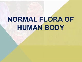 NORMAL FLORA OF
HUMAN BODY
 