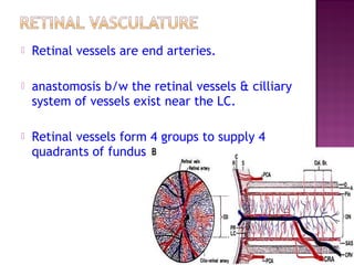 Normal fundus | PPT