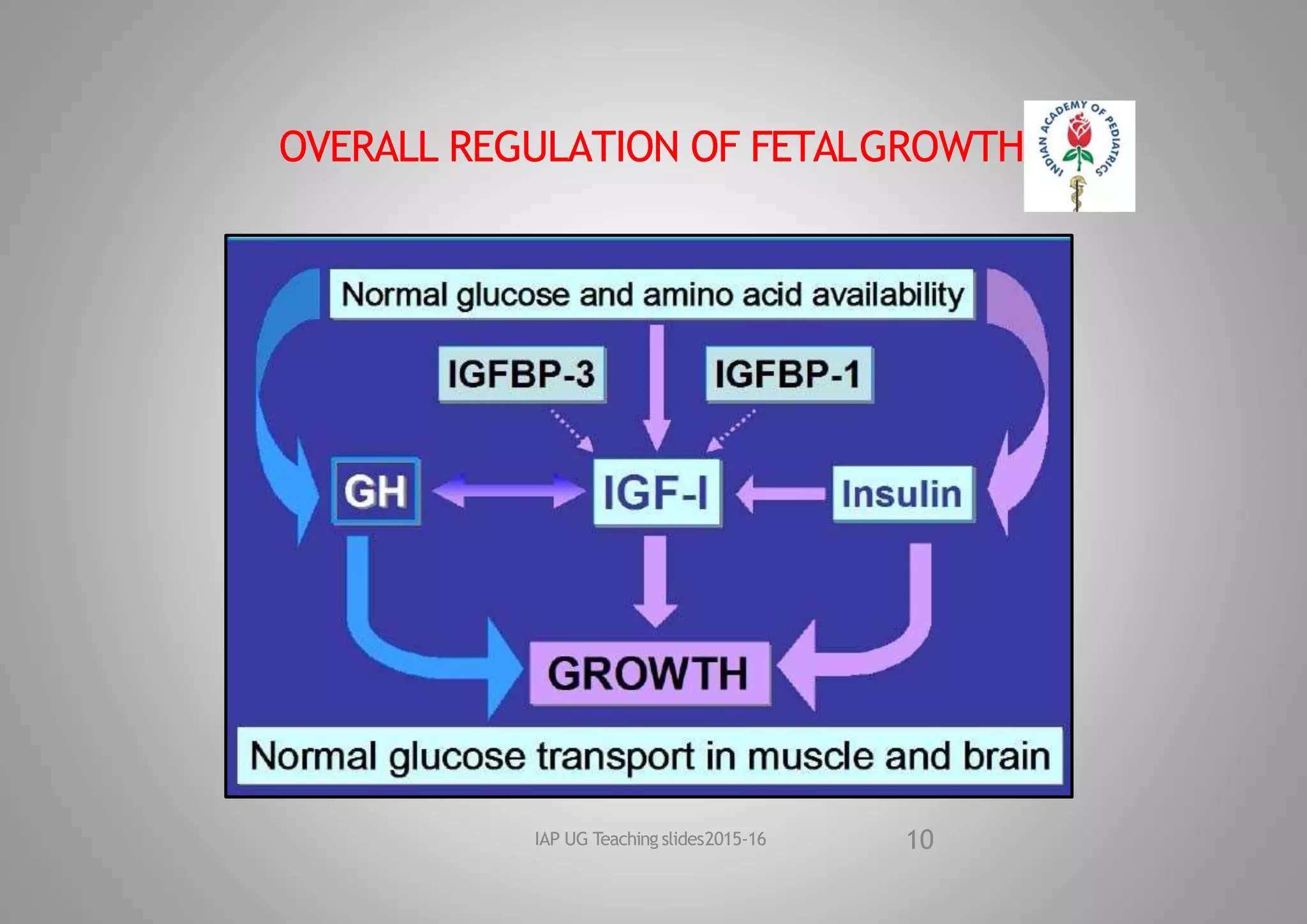 OVERALL REGULATION OF FETALGROWTH
10
IAP UG Teaching slides2015‐16
 