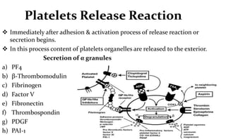  Immediately after adhesion & activation process of release reaction or
secretion begins.
 In this process content of pl...