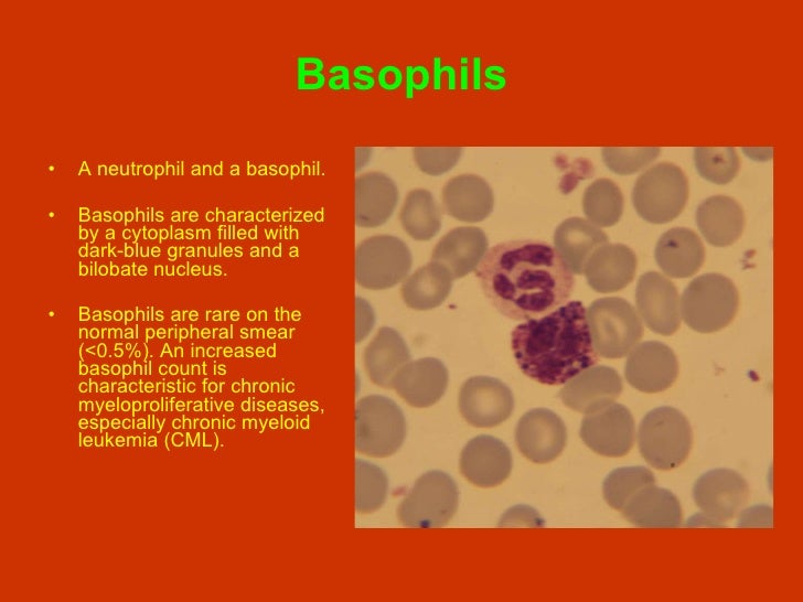 Normal Hematopoiesis