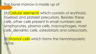 Normal Marrow Elements NORMAL HEMATOPOIESIS AND IDENTIFICATION OF VARIOUS PRECURSORS 2.0.pptx