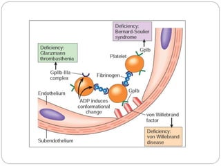 Normal hemostasis.pptx