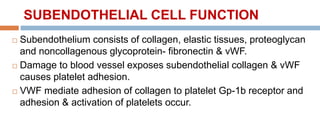 SUBENDOTHELIAL CELL FUNCTION
 Subendothelium consists of collagen, elastic tissues, proteoglycan
and noncollagenous glycoprotein- fibronectin & vWF.
 Damage to blood vessel exposes subendothelial collagen & vWF
causes platelet adhesion.
 VWF mediate adhesion of collagen to platelet Gp-1b receptor and
adhesion & activation of platelets occur.
 
