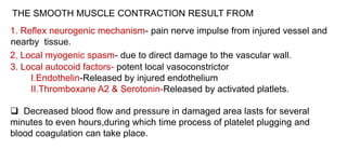 THE SMOOTH MUSCLE CONTRACTION RESULT FROM
1. Reflex neurogenic mechanism- pain nerve impulse from injured vessel and
nearby tissue.
2. Local myogenic spasm- due to direct damage to the vascular wall.
3. Local autocoid factors- potent local vasoconstrictor
I.Endothelin-Released by injured endothelium
II.Thromboxane A2 & Serotonin-Released by activated platlets.
 Decreased blood flow and pressure in damaged area lasts for several
minutes to even hours,during which time process of platelet plugging and
blood coagulation can take place.
 