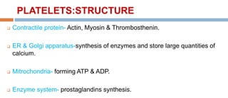 PLATELETS:STRUCTURE
 Contractile protein- Actin, Myosin & Thrombosthenin.
 ER & Golgi apparatus-synthesis of enzymes and store large quantities of
calcium.
 Mitrochondria- forming ATP & ADP.
 Enzyme system- prostaglandins synthesis.
 