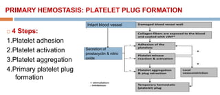 PRIMARY HEMOSTASIS: PLATELET PLUG FORMATION
 4 Steps:
1.Platelet adhesion
2.Platelet activation
3.Platelet aggregation
4.Primary platelet plug
formation
Intact blood vessel
Secretion of
prostacyclin & nitric
oxide
 