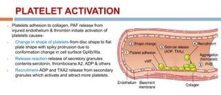 PLATELET ACTIVATION
 Platelets adhesion to collagen, PAF release from
injured endothelium & thrombin initiate activation of
platelets causes-
 Change in shape of platelets-from disc shape to flat
plate shape with spiky protrusion due to
conformation change in cell surface GpIIb/IIIa.
1. Release reaction-release of secretory granules
contents-serotonin, thromboxane A2, ADP & others
2. Recruitment-ADP and TXA2 release from secondary
granules which activate and attract more platelets.
 