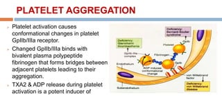 PLATELET AGGREGATION
 Platelet activation causes
conformational changes in platelet
GpIIb/IIIa receptor.
 Changed GpIIb/IIIa binds with
bivalent plasma polypeptide
fibrinogen that forms bridges between
adjacent platelets leading to their
aggregation.
 TXA2 & ADP release during platelet
activation is a potent inducer of
 