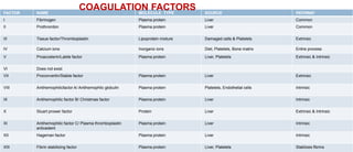 FACTOR NAME MOLECULE TYPE SOURCE PATHWAY
I Fibrinogen Plasma protein Liver Common
II Prothrombin Plasma protein Liver Common
III Tissue factor/Thromboplastin Lipoprotein mixture Damaged cells & Platelets Extrinsic
IV Calcium ions Inorganic ions Diet, Platelets, Bone matrix Entire process
V Proaccelerin/Labile factor Plasma protein Liver, Platelets Extrinsic & Intrinsic
VI Does not exist
VII Proconvertin/Stable factor Plasma protein Liver Extrinsic
VIII Antihemophilicfactor A/ Antihemophlic globulin Plasma protein Platelets, Endothelial cells Intrinsic
IX Antihemophilic factor B/ Christmas factor Plasma protein Liver Intrinsic
X Stuart prower factor Protein Liver Extrinsic & Intrinsic
XI Antihemophilic factor C/ Plasma thromboplastin
anticedent
Plasma protein Liver Intrinsic
XII Hageman factor Plasma protein Liver Intrinsic
XIII Fibrin stabilizing factor Plasma protein Liver, Platelets Stablizes fibrins
COAGULATION FACTORS
 