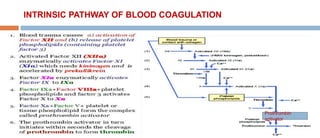 INTRINSIC PATHWAY OF BLOOD COAGULATION
Prothrombin
activator
 