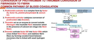 CONVERSION OF PROTHROMBIN TO THROMBIN CONVERSION OF
FIBRINOGEN TO FIBRIN
COMMON PATHWAY OF BLOOD COAGULATION
1. Prothrombin activator is a complex form by factor
Xa, factor Va, platelet phospholipid & caicium
ion.
2. Prothrombin activator catalyzes conversion of
prothrombin into thrombin.
3. Thrombin act as an enzyme to convert soluble
fibrinogen into insoluble fibrin monomer which
in the presence of calcium ion chage into fibrin
fibers
4.Thrombin activate factor XIII into factor XIIIa which
cross linked fibrin fibers and stablizes fibrin
fibers by forming covalent bond between
monomers that is linked with weak hydrogen
Prothrombin
activator
Complex IX/VIIIa Complex TF/VIIa
Intrinsic pathway Extrinsic pathway
 