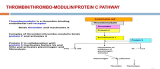 THROMBIN/THROMBO-MODULIN/PROTEIN C PATHWAY
 