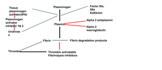 Tissue
plasminogen
activator(tPA)
Plasminogen
activator
inhibitor 1& 2
Urokinas
e
Plasminogen
Plasmin
Fibrin Fibrin degradation products
Factor XIa,
XIIa
Kallikrein
Alpha 2 antiplasmin
Alpha 2
macroglobulin
Thrombin Thrombin activatable
Fibrinolysis inhibitors
 