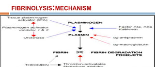 FIBRINOLYSIS:MECHANISM
 