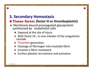 3. Secondary Hemostasis
(factor III or thromboplastin)(factor III or thromboplastin)
Membrane-bound procoagulant glycoprotein
synthesized by endothelial cells
Exposed at the site of injury
With factor VII , in vivo initiator of the coagulationWith factor VII , in vivo initiator of the coagulation
cascade
Thrombin generation
Cleavage of fibrinogen into insoluble fibrin
Creation a fibrin meshwork
Further platelet recruitment and activation
10/9/2016 17
 