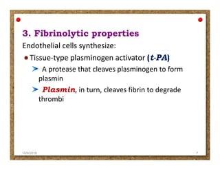 3. Fibrinolytic properties3. Fibrinolytic properties
Endothelial cells synthesize:
Tissue-type plasminogen activator (t-PA)
A protease that cleaves plasminogen to form
plasmin
PlasminPlasmin, in turn, cleaves fibrin to degradePlasminPlasmin, in turn, cleaves fibrin to degrade
thrombi
10/9/2016 7
 