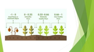 Normalized Difference Vegetation Index | PPTX