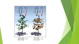 Normalized Difference Vegetation Index | PPTX