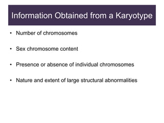 Information Obtained from a Karyotype
• Number of chromosomes
• Sex chromosome content
• Presence or absence of individual chromosomes
• Nature and extent of large structural abnormalities
 