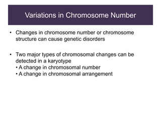 Variations in Chromosome Number
• Changes in chromosome number or chromosome
structure can cause genetic disorders
• Two major types of chromosomal changes can be
detected in a karyotype
• A change in chromosomal number
• A change in chromosomal arrangement
 