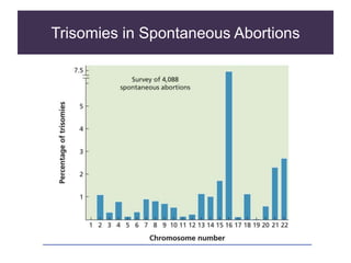 Trisomies in Spontaneous Abortions
 