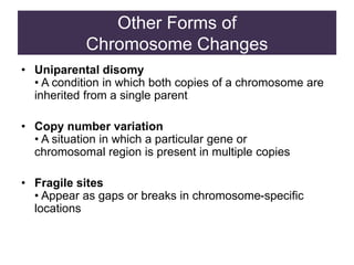 Other Forms of
Chromosome Changes
• Uniparental disomy
• A condition in which both copies of a chromosome are
inherited from a single parent
• Copy number variation
• A situation in which a particular gene or
chromosomal region is present in multiple copies
• Fragile sites
• Appear as gaps or breaks in chromosome-specific
locations
 