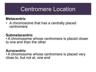 Centromere Location
Metacentric
• A chromosome that has a centrally placed
centromere
Submetacentric
• A chromosome whose centromere is placed closer
to one end than the other
Acrocentric
• A chromosome whose centromere is placed very
close to, but not at, one end
 