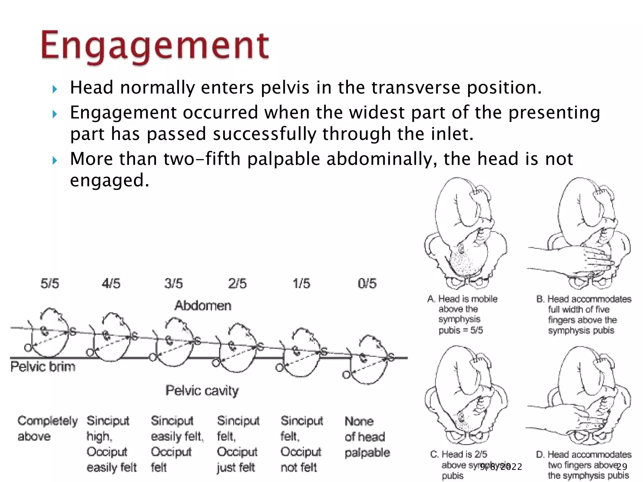 normal laboor & delivery.pptxi | PPTX