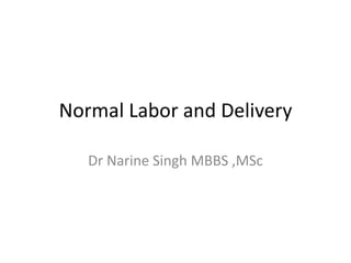Normal Labor and Delivery

   Dr Narine Singh MBBS ,MSc
 