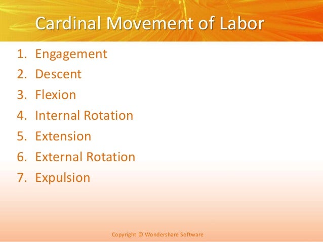 cardinal movements of labor