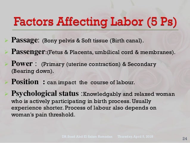 Normal Labor Ppt