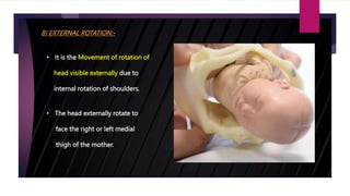 Normal labor (1).pptx