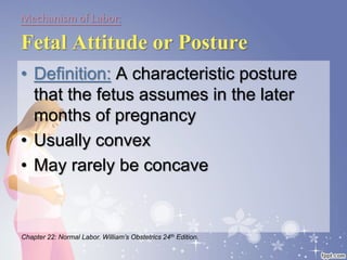 Mechanismof Labor:
Fetal Attitude or Posture
• Definition: A characteristic posture
that the fetus assumes in the later
months of pregnancy
• Usually convex
• May rarely be concave
Chapter 22: Normal Labor. William’s Obstetrics 24th Edition.
 