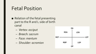 Normal labor and delivery | PPTX
