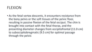 FLEXION
• As the fetal vertex descents, it encounters resistance from
the bony pelvis or the soft tissues of the pelvic floor,
resulting in passive flexion of the fetal occiput. The chin is
brought into contact with the fetal thorax, and the
presenting diameter changes from occipitofrontal (11.0 cm)
to suboccipitobregmatic (9.5 cm) for optimal passage
through the pelvis
 
