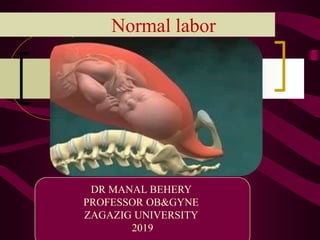 Normal labor
DR MANAL BEHERY
PROFESSOR OB&GYNE
ZAGAZIG UNIVERSITY
2019
 
