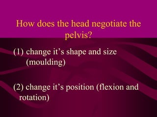 How does the head negotiate the
pelvis?
(1) change it’s shape and size
(moulding)
(2) change it’s position (flexion and
ro...