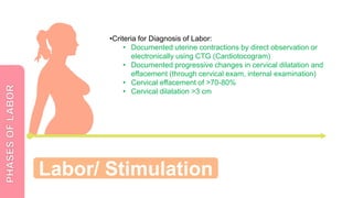 Normal Labor based on William's Obstetrics | PPTX
