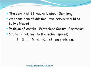 Normal Cervix Position Chart Normal Labour | PPT